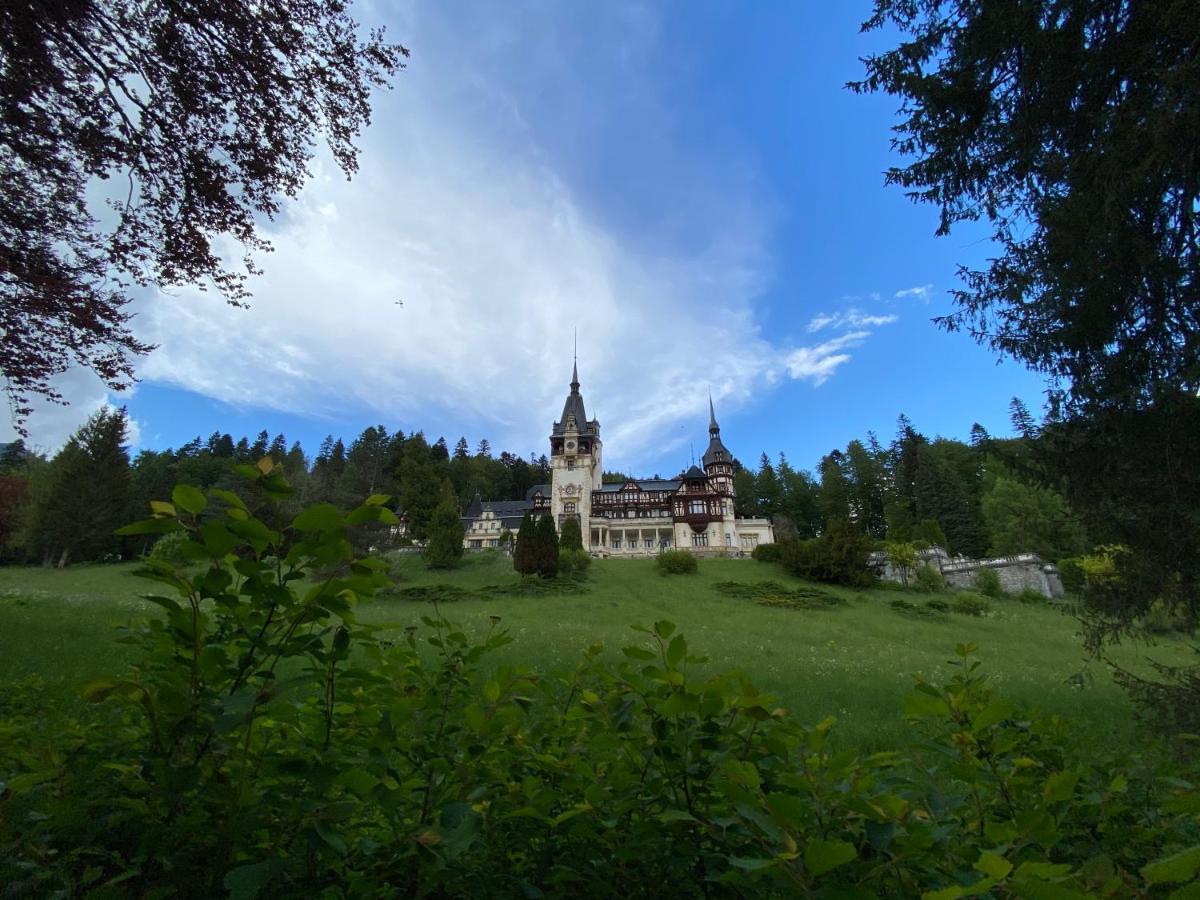 Vila De Argint Sinaia Buitenkant foto