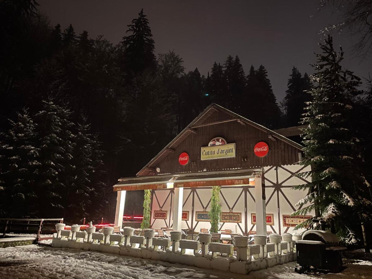 Vila De Argint Sinaia Buitenkant foto