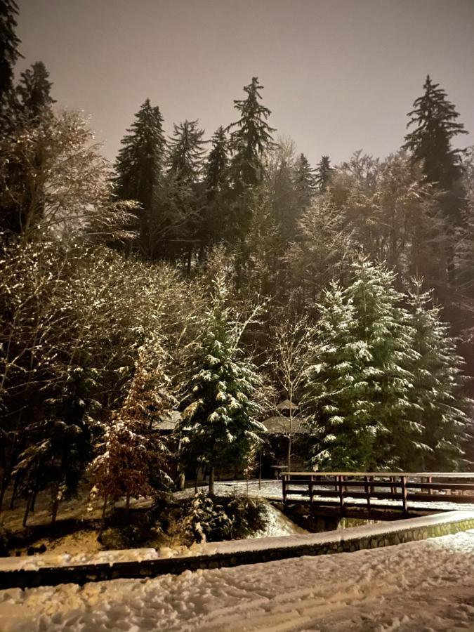 Vila De Argint Sinaia Buitenkant foto