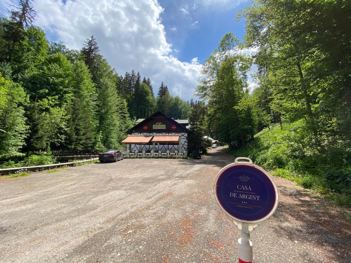 Vila De Argint Sinaia Buitenkant foto