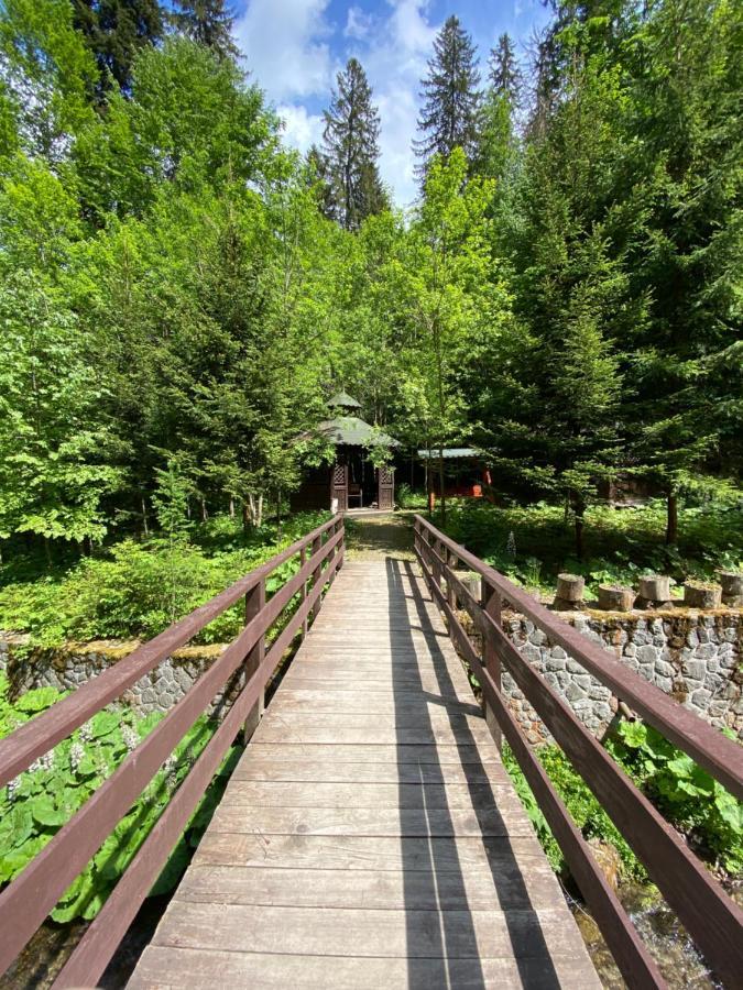 Vila De Argint Sinaia Buitenkant foto