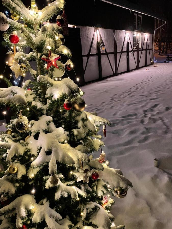 Vila De Argint Sinaia Buitenkant foto