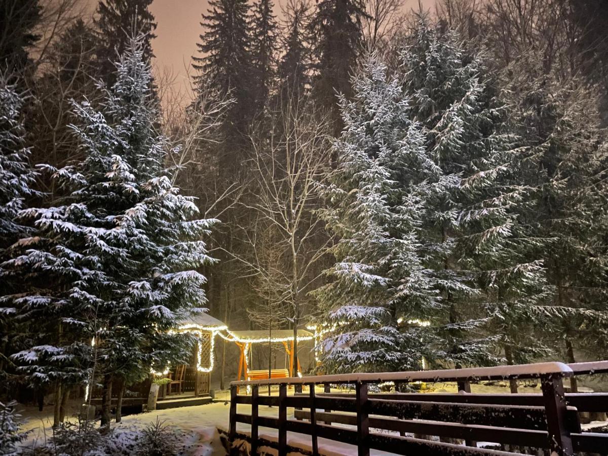 Vila De Argint Sinaia Buitenkant foto