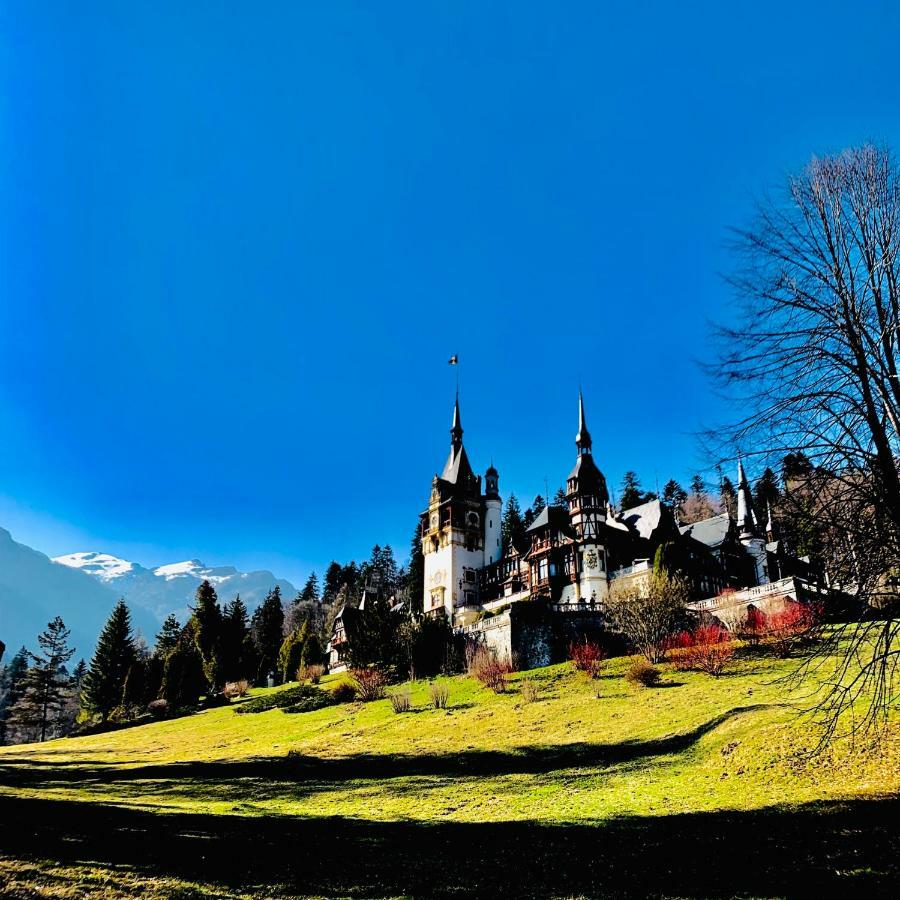 Vila De Argint Sinaia Buitenkant foto