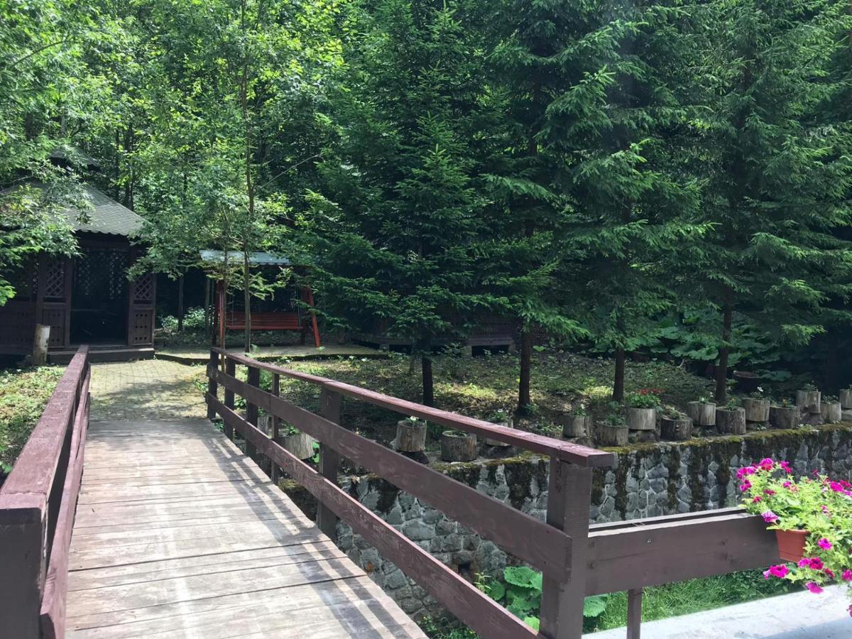 Vila De Argint Sinaia Buitenkant foto